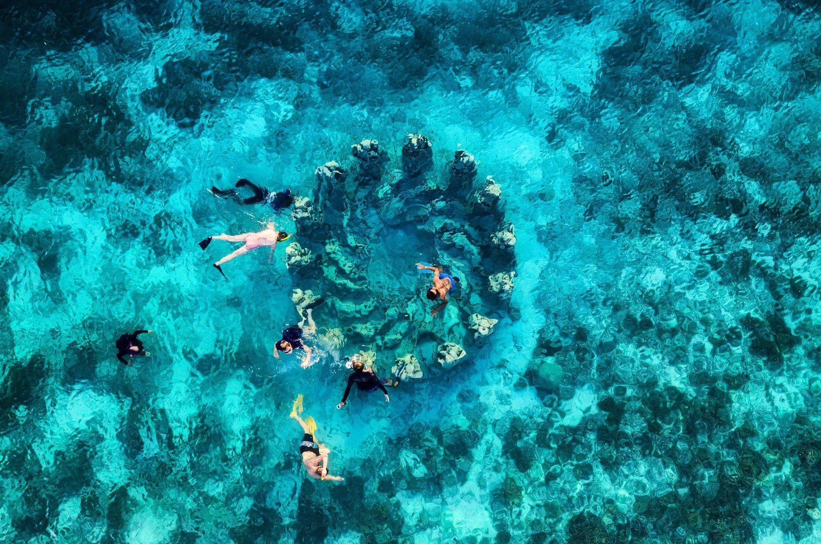 Snorkeling gili trawangan