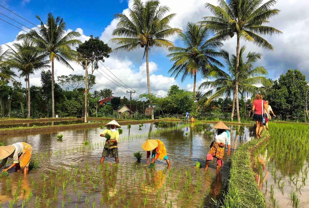 paket Liburan Tete Batu