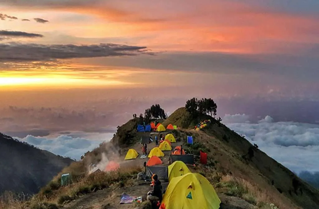 Rinjani trekking agency