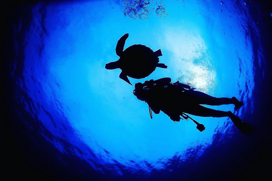 Gili Gede Underwater view