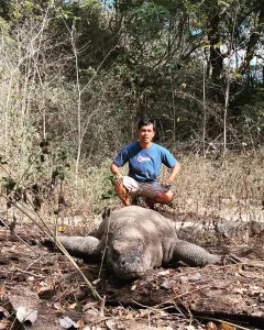 Komodo Tour