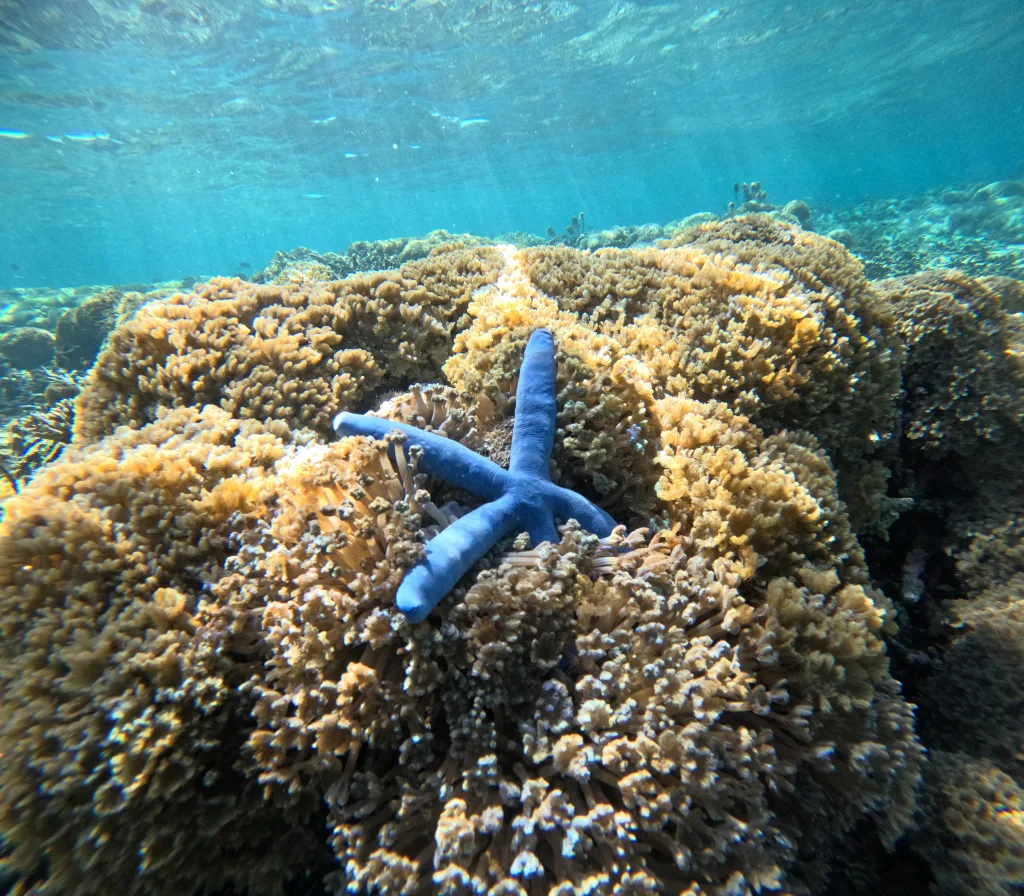 Gili Kondo Tour