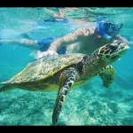 Komodo Tour De L'Île De Lombok, Le Meilleur Rinjani Compagnie De Trekking, Rinjani Trekking Paquet, Komodo, Excursion En Bateau Lombok, Trekking Rinjani À Lombok, Le Partage De Voyage De Komodo, La Plongée En Apnée De Gili Trawangan, Gili Trawangan Excursion D'Une Journée, De Lombok À L'Île De Komodo Excursion En Bateau, L'Île De Komodo Forfait