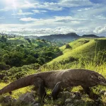 cara menuju pulau komodo
