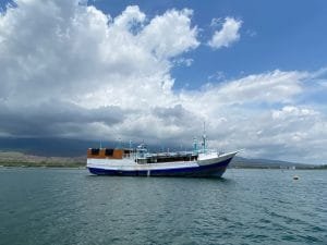Perjalanan Komodo Dari Lombok