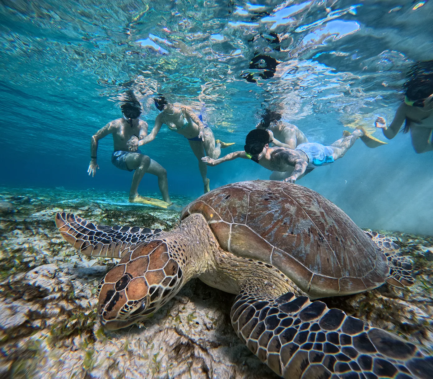 4 Days 3 Nights Gili Trawangan Tour Packages