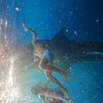 komodo tour from lombok