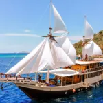 discover the ultimate adventure: your complete guide from lombok to komodo island 1 17tour agency 17Tour Agency, Komodo island tour guide