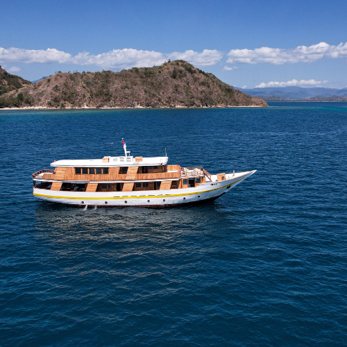 3 days 2 nights komodo island tour 11 17tour agency 2