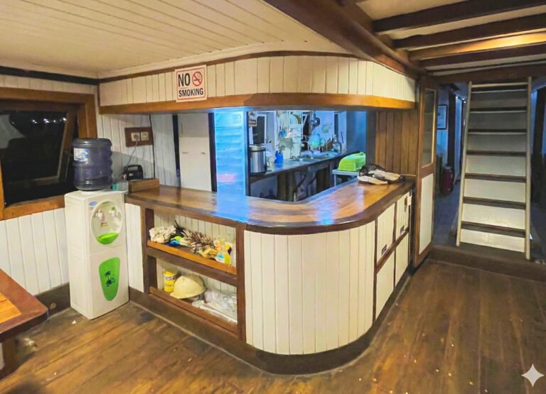 komodo island tour, komodo tour​, komodo boat tour​, komodo island boat tour​