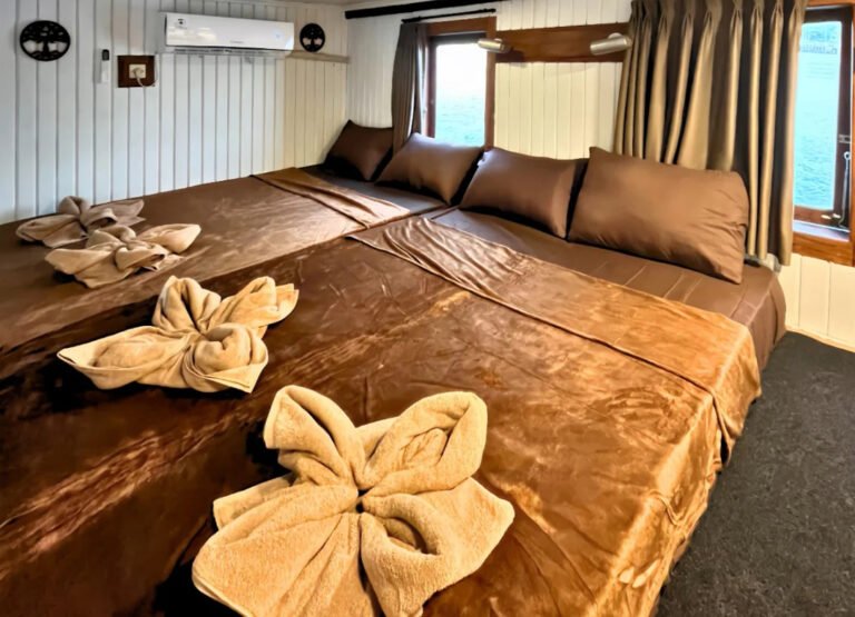 komodo island tour, komodo tour​, komodo boat tour​, komodo island boat tour​