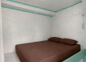 komodo island tour, komodo tour​, komodo boat tour​, komodo island boat tour​