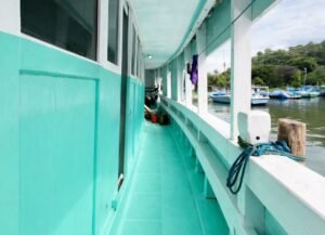 komodo island tour, komodo tour​, komodo boat tour​, komodo island boat tour​