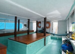 komodo island tour, komodo tour​, komodo boat tour​, komodo island boat tour​