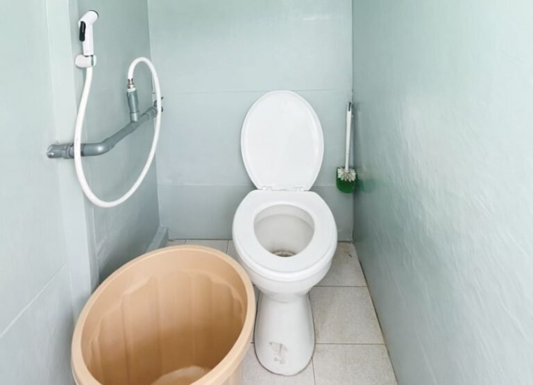 komodo island tour, komodo tour​, komodo boat tour​, komodo island boat tour​