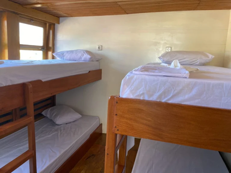 Comfort Shared 17Tour Agency