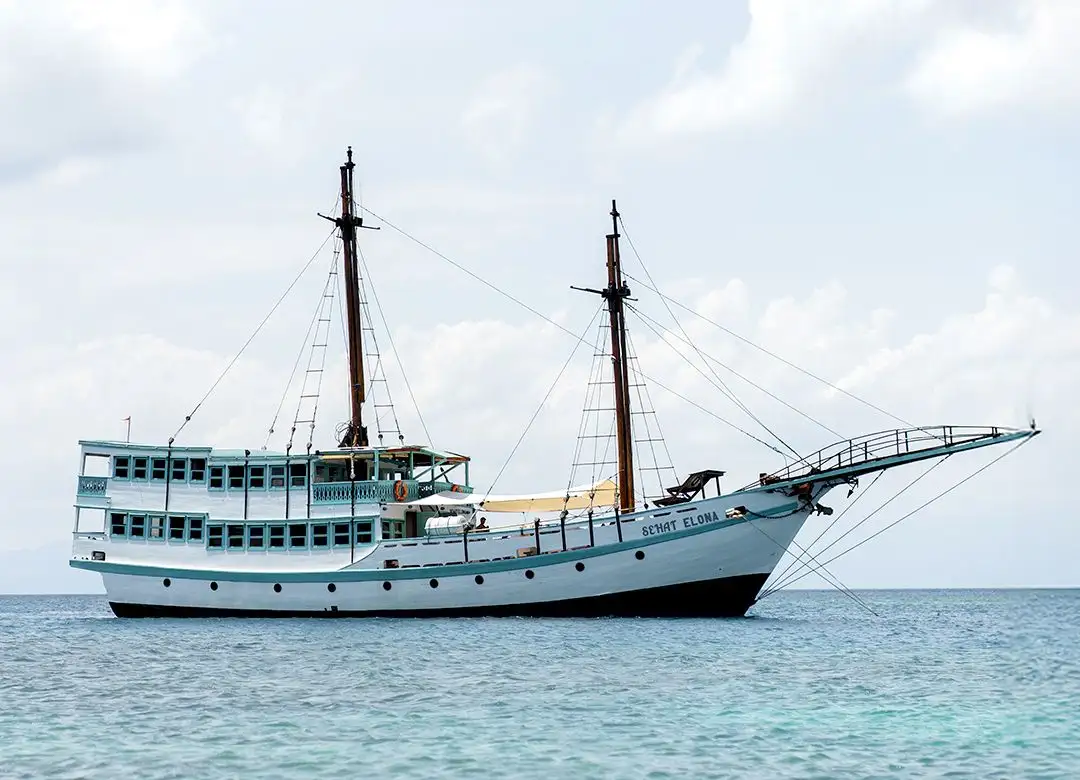 Sehat Elona Luxury Komodo Boat