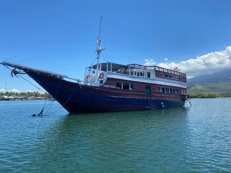 komodo island tour, komodo tour​, komodo boat tour​, komodo island boat tour​