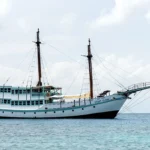 Komodo Luxury Cruise Lombok to Flores By Sehat Elona