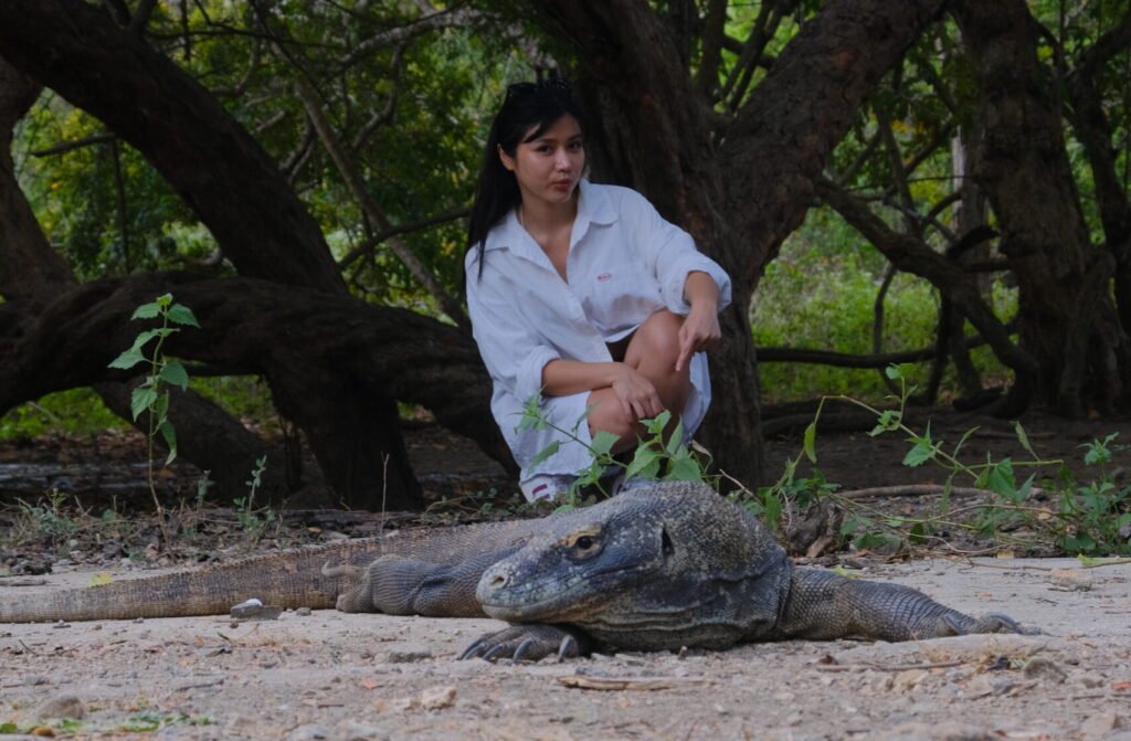 Taman Nasional Komodo